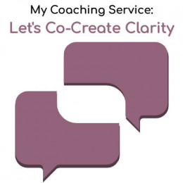 90 minutes online coaching